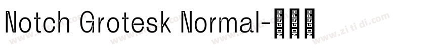 Notch Grotesk Normal字体转换